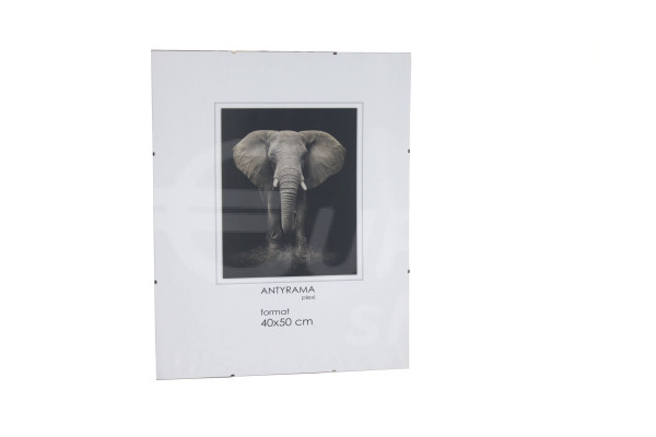 Foto clip plexi ANTYRAMA 40x50cm