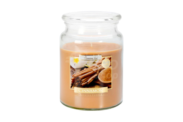 Vonná svíčka Bispol 500g, snd99-65 Cinnamon