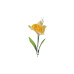 Narcis 45cm Žlutý