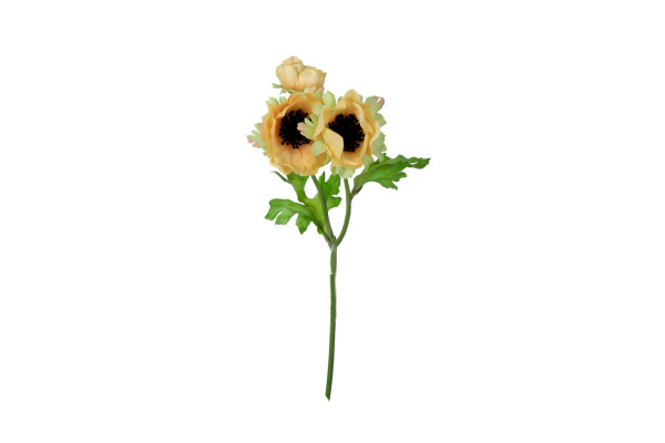 Sasanka 33cm Žlutá