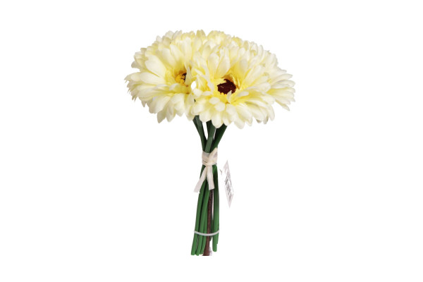 Gerbera puget 28cm Světle žlutá