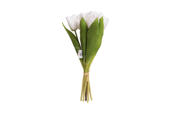 Tulipán puget 37cm Bílý