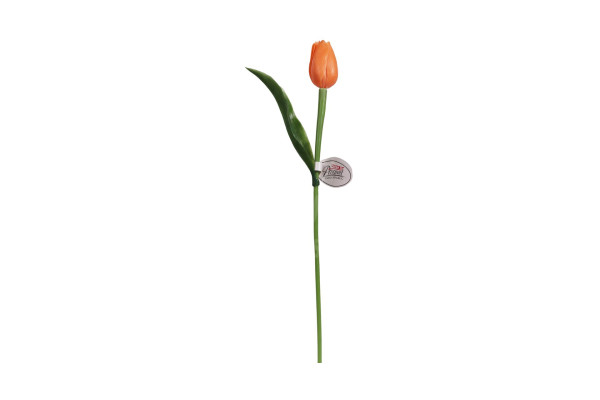 Tulipán Paramit 40cm Světle oranžový