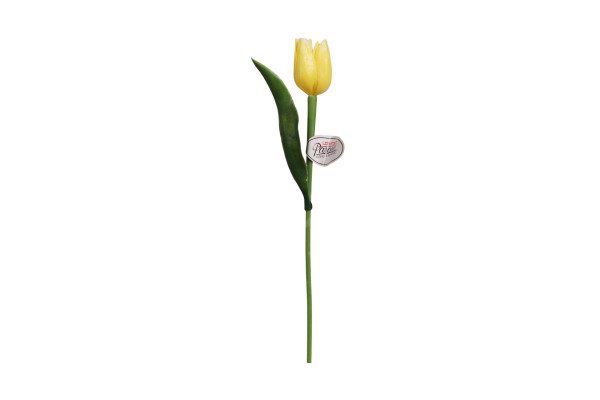 Tulipán Paramit 40cm Žlutý