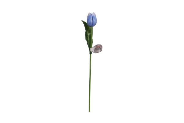 Tulipán Paramit 40cm Světle modrý