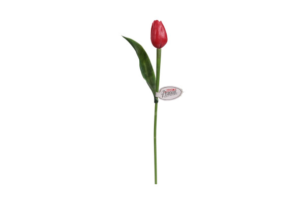 Tulipán Paramit 40cm Červený