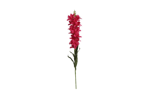 Orchidej 90cm Tmavě růžová