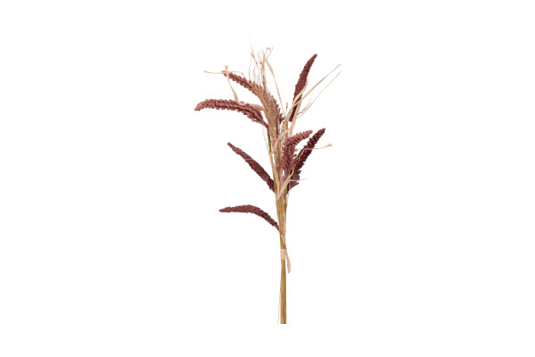 Větev Proso 75cm TY262117-1 (pis)
