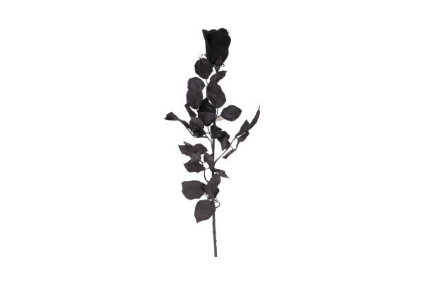 Růže 64cm FL10-6499-06 černá (pis)