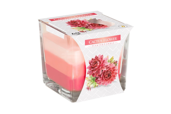 Vonná svíčka Bispol 170g, snk80-312 Cactus Flower
