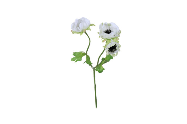 Sasanka 33cm Bílá